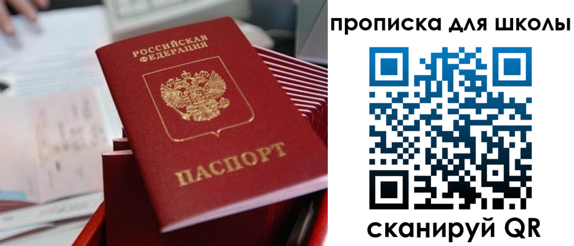 прописка для школы в Коркино